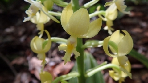 P8180271 (640x360).jpg