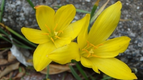 P8310366 (640x360).jpg