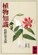 158529-1.png
