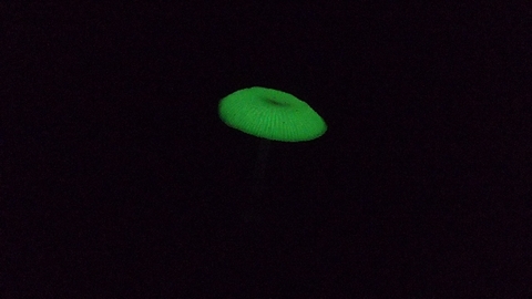 20180904211400678.jpg