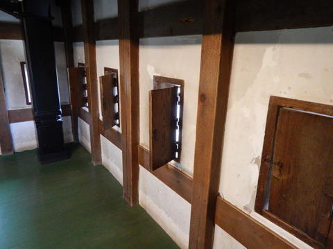 4DSCN6587(1).jpg