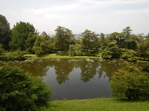 6DSCN6592(1).jpg