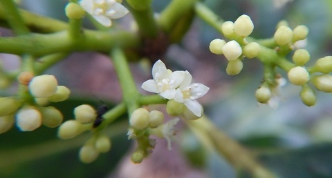 DSCN1094.JPG