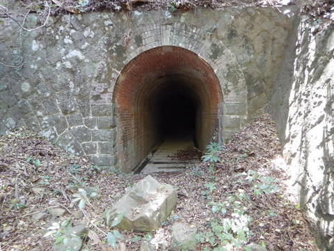 DSCN1294.jpg