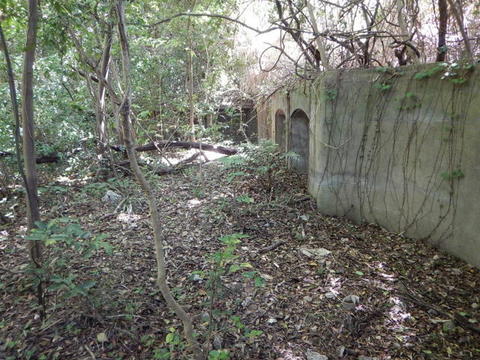 DSCN1303.jpg