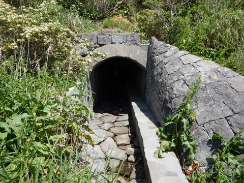 DSCN1307.jpg