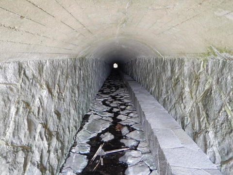 DSCN1308.jpg
