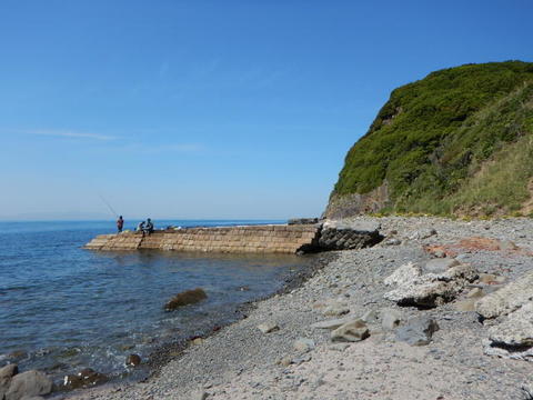 DSCN1310.jpg