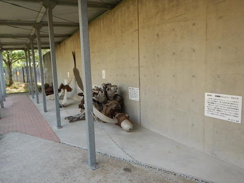 DSCN1527.jpg
