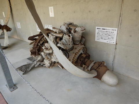 DSCN1528.jpg