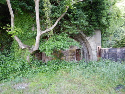 DSCN1539.jpg