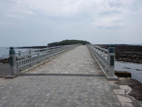DSCN1564(1).jpg