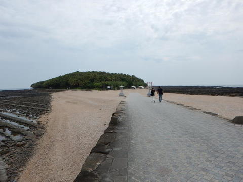 DSCN1568(1).jpg