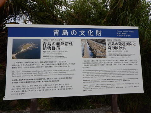 DSCN1570(1).jpg