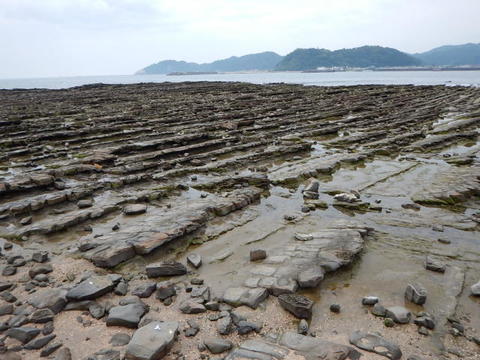 DSCN1573(1).jpg