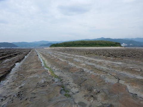 DSCN1586(1).jpg