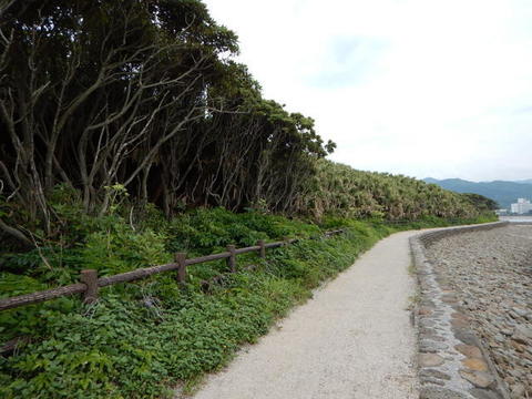 DSCN1588(1).jpg