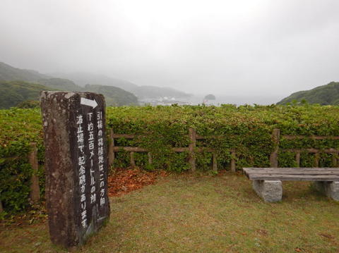 DSCN1898(1).jpg