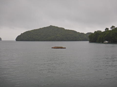 DSCN1909(1).jpg