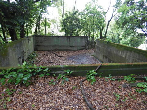 DSCN1941(1).jpg