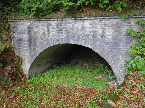 DSCN1946(1).jpg