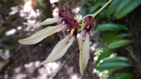 DSCN2033.JPG