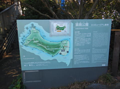 DSCN3237(1).jpg