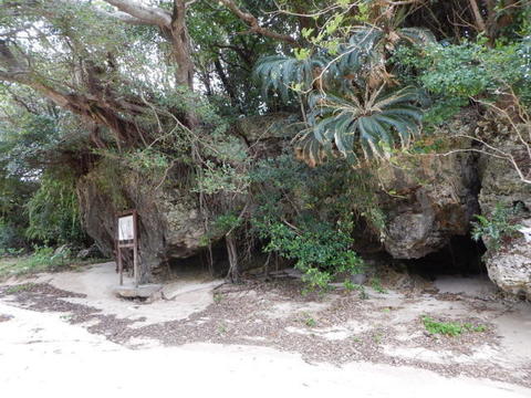 DSCN3296.jpg