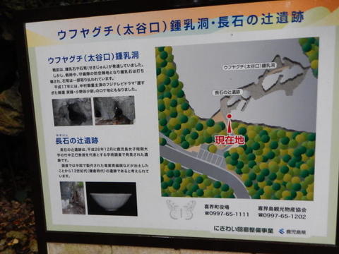 DSCN3616.jpg