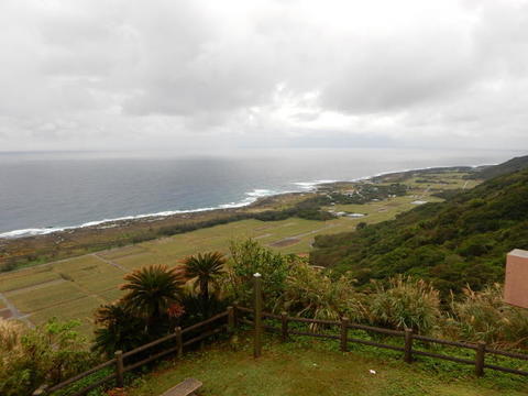 DSCN3635.jpg