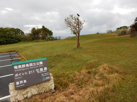 DSCN3644.jpg
