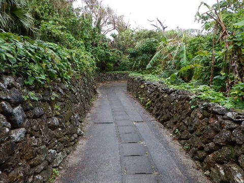 DSCN3679.jpg