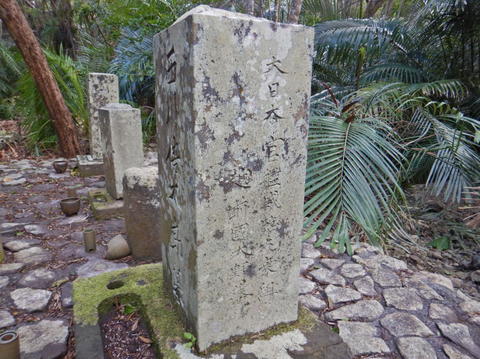 DSCN4044(1).jpg