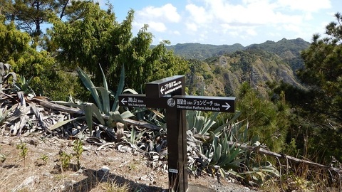 DSCN4935.JPG