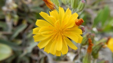 DSCN5317.JPG