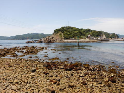 DSCN5801(1).jpg
