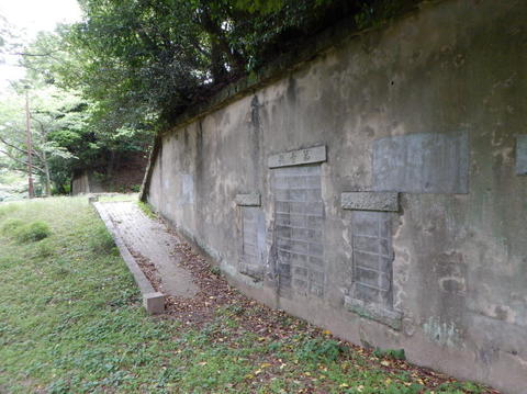 DSCN5900(1).jpg