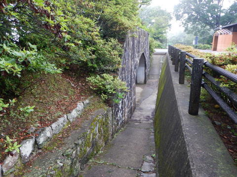 DSCN6046(1).jpg