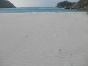 P2023776.JPG