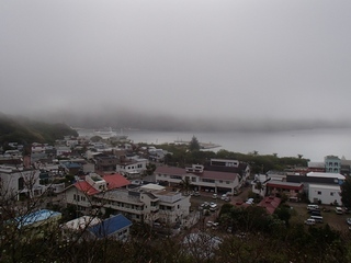 P4236686.JPG