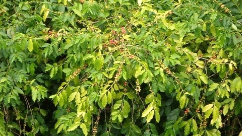 P8280328 (640x360).jpg