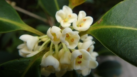 PA310256.JPG