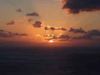 PB024715.JPG