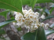 PB040248.JPG