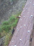 2011102307330001.jpg