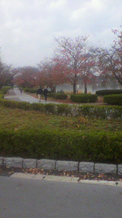 2012111709040000.jpg