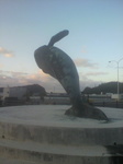 2014012506490000.jpg